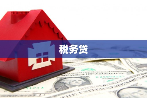 归仁税务贷