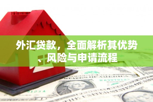 归仁外汇贷款，全面解析其优势、风险与申请流程