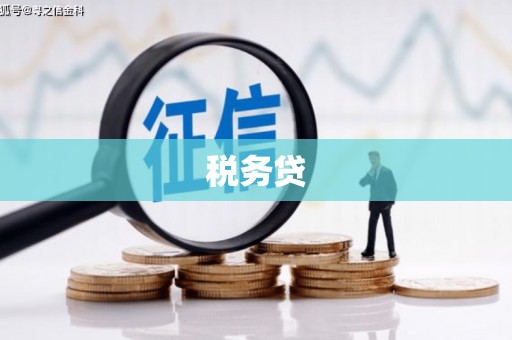 归仁税务贷