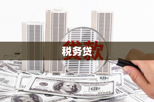 归仁税务贷