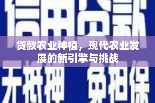 归仁贷款农业种植，现代农业发展的新引擎与挑战