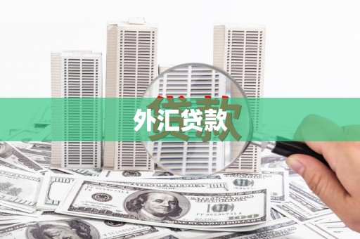 归仁外汇贷款