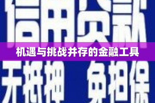 归仁机遇与挑战并存的金融工具