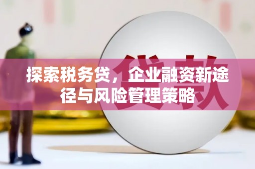 归仁探索税务贷，企业融资新途径与风险管理策略