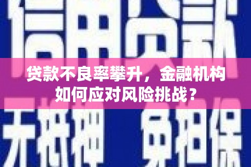 归仁贷款不良率攀升，金融机构如何应对风险挑战？