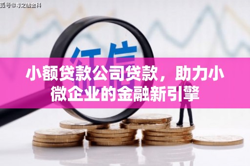 归仁小额贷款公司贷款，助力小微企业的金融新引擎