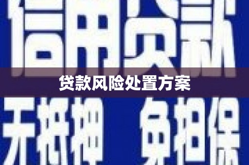 归仁贷款风险处置方案