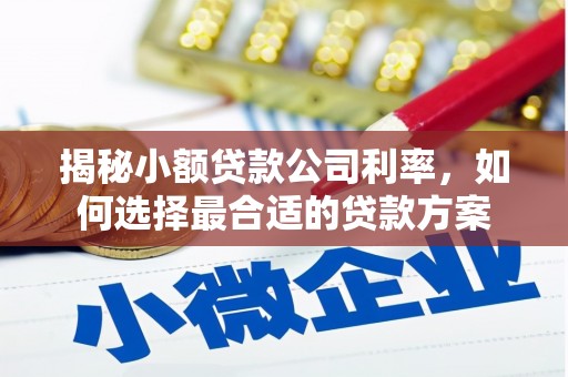 归仁揭秘小额贷款公司利率，如何选择最合适的贷款方案