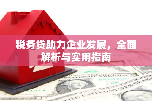 归仁税务贷助力企业发展，全面解析与实用指南