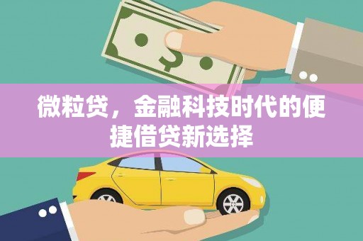 归仁微粒贷，金融科技时代的便捷借贷新选择
