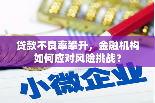 归仁贷款不良率攀升，金融机构如何应对风险挑战？
