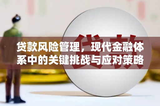 归仁贷款风险管理，现代金融体系中的关键挑战与应对策略
