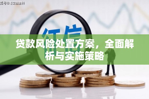 归仁贷款风险处置方案，全面解析与实施策略